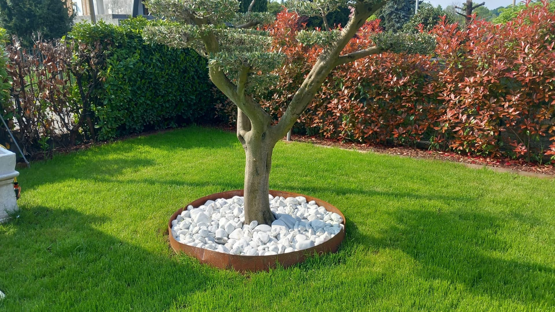 Lavoro realizzato M Brianza — foto 11